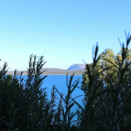 Casa Vacanze Il Ginepro - Golfo Di Marinella