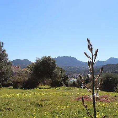 Casa Vacanze Il Ginepro - Golfo Di Marinella Apartment Porto Rotondo